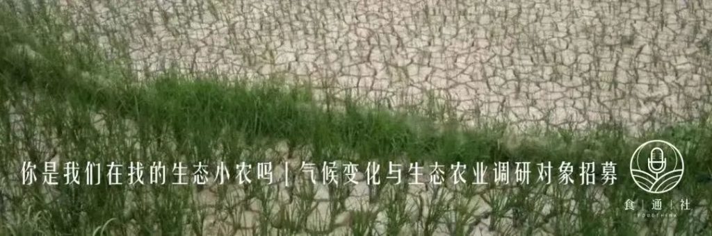 填写问卷，让中国小农的声音被世界听到！